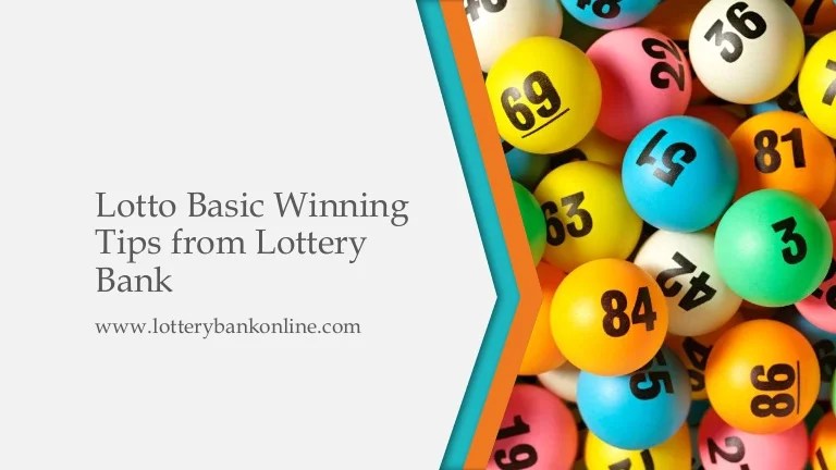 Lotto numbers lottery