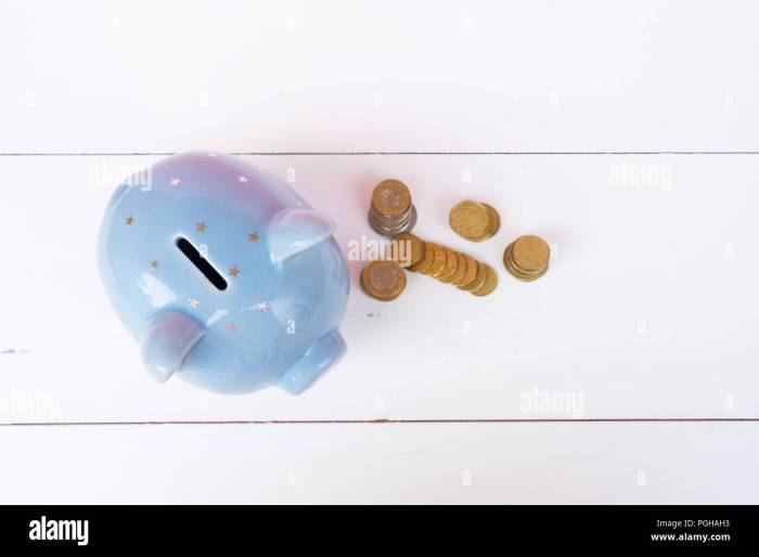 Savings piggy bank